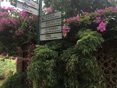 -南丫岛