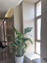 -四川米兰柏羽医学美容医院