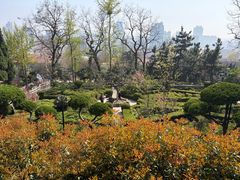 -烟台山景区