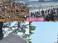 -栈桥景区