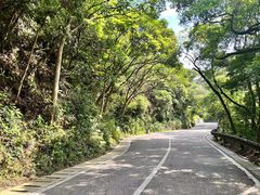 -梧桐山风景名胜区