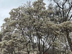 -天津盘山风景名胜区