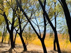 -野鸭湖国家湿地公园