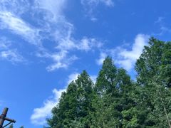 -山王坪喀斯特国家生态公园