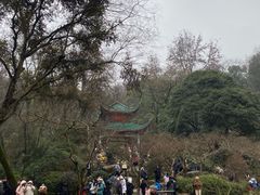 -岳麓山风景名胜区