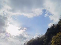 -王顺山国家森林公园