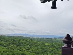 -宜兴龙背山森林公园