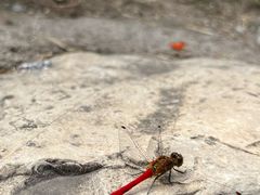 -龙门涧景区