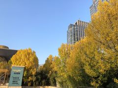 -万达广场(泰安泰山店)