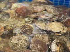 大扇贝-乔哥铭洋海鲜自助(皇城恒隆广场店)