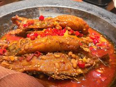 -鸽舞笙平金牌烧鸽子·融合菜(鲁谷店)