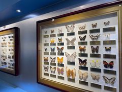 -上海昆虫博物馆