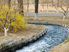 -永定河休闲森林公园