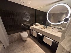 -新加坡乌节希尔顿酒店 (SG Clean)