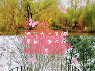 过节圣地——冒险森林•户外教育营地
