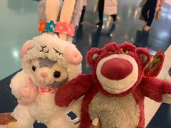 -PAWTOY爪e玩偶店(天兴罗斯福店)