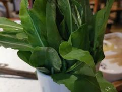 -大龙燚火锅(春熙店)