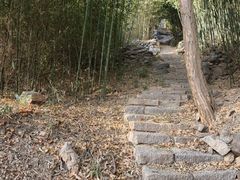 -石老人观光园
