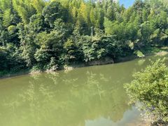 -永州阳明山国家森林公园