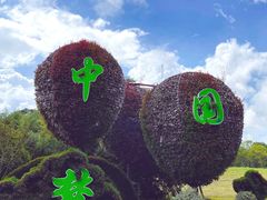 -东平国家森林公园