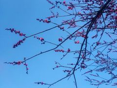 -东坡赤壁风景名胜区