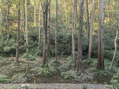 -宋宴(虎跑店)
