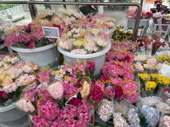 -盒马X会员店(王府井奥莱UP TOWN店)
