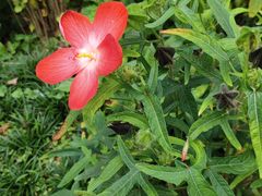 -广州神农草堂中医药博物馆