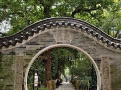 -小洲村