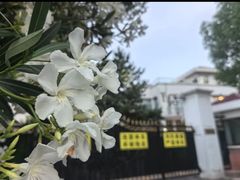 -西郊壹号