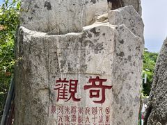 -泰山风景名胜区