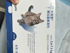 -半岛宠物医院24小时(科华中路店)