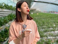 -大自然农场蔬菜草莓采摘园