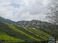 -呀诺达热带雨林