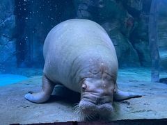 -哈尔滨波塞冬海底世界