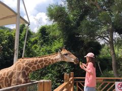 -泉州海丝野生动物世界