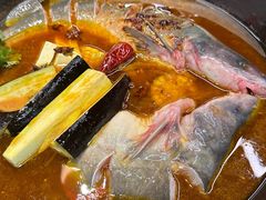 -鸽子刘铁锅炖鱼(劲松店)