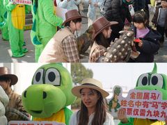 -中国西峡恐龙遗迹园
