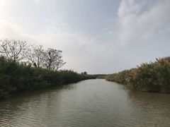 -大湾区中央湿地公园