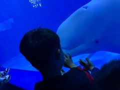 -多彩贵州城极地海洋世界