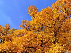 -克什克腾世界地质公园青山景区