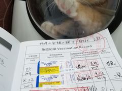 -瑞鹏宠物医院·夜间急症·心超·猫科(祖庙分店)