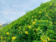 -白石龙音乐公园
