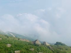 -白草畔自然风景区