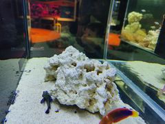 -沈阳海洋探索中心