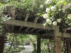 -采石矶景区