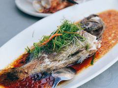 清蒸石斑鱼-达叔香味海鲜(海棠68环球美食街店)
