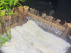 -原牛道·潮汕围炉火锅(讯美店)