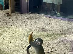 -哈尔滨极地公园
