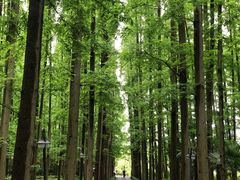 -上海怡沁园度假酒店